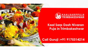 Kaal Sarp Dosh Nivaran Puja in Trimbakeshwar