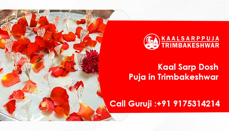 Kaal Sarp Dosh Puja in Trimbakeshwar