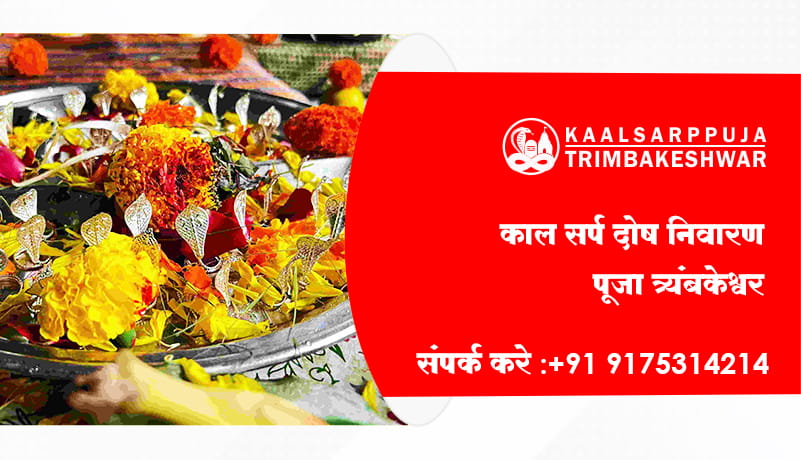 काल सर्प दोष निवारण पूजा त्र्यंबकेश्वर