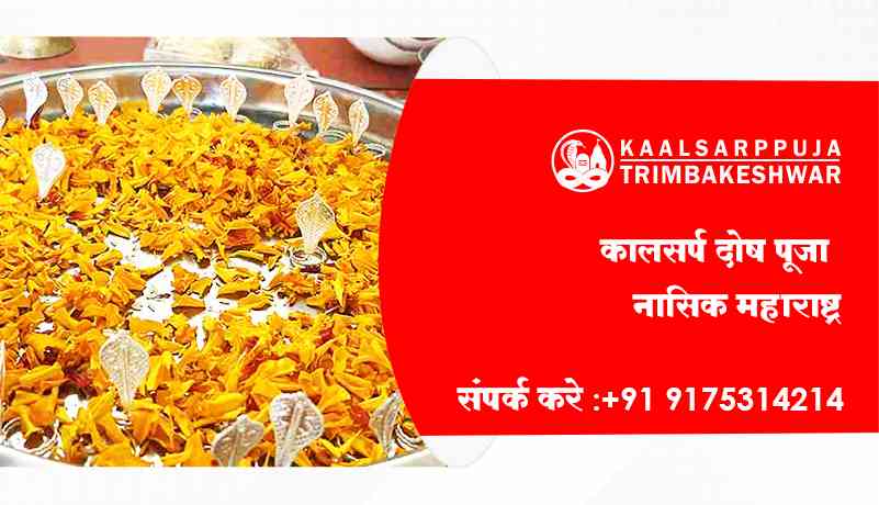 कालसर्प दोष पूजा नासिक महाराष्ट्र